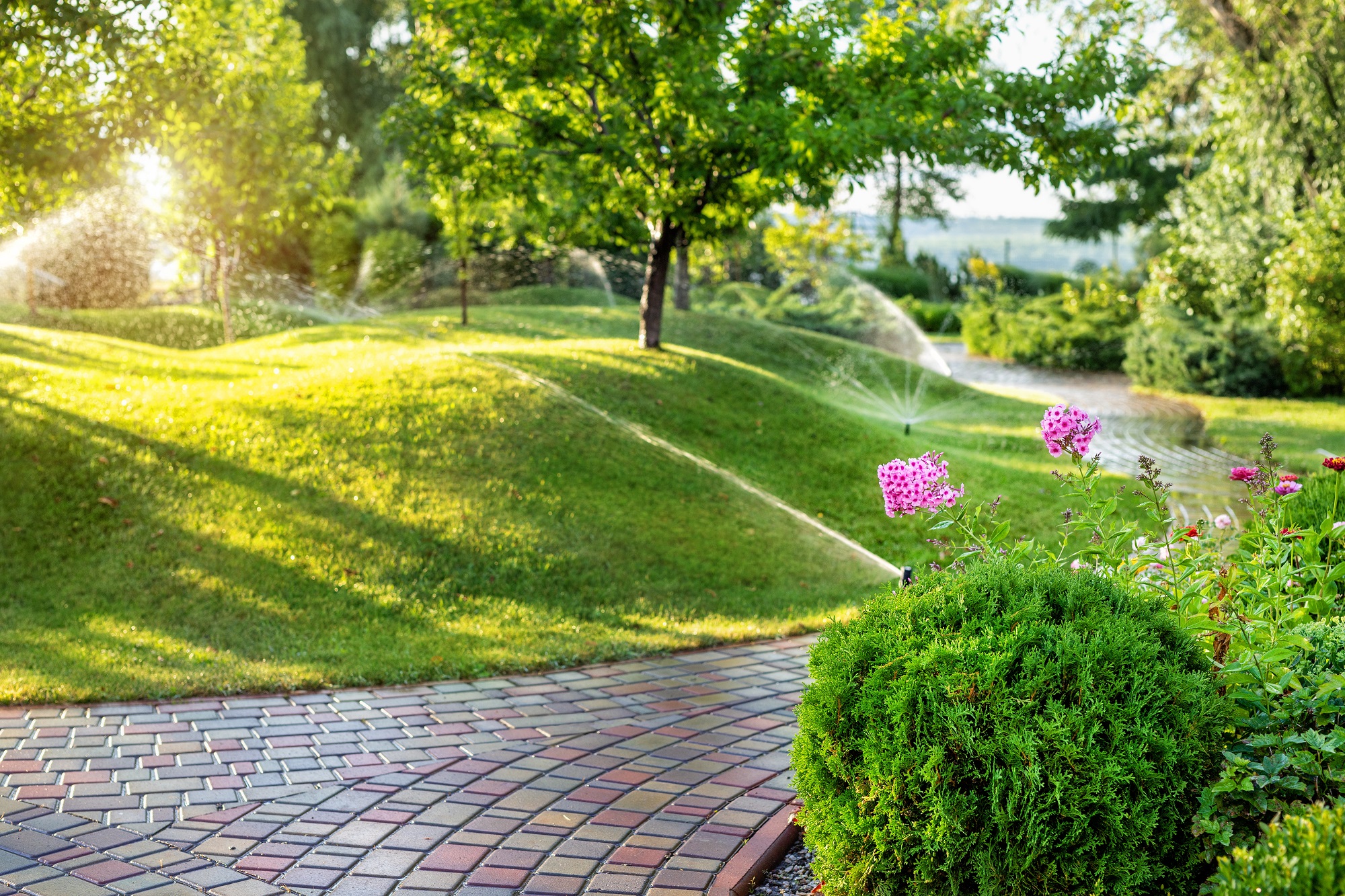 Landscape Maintenance Port Orchard - Professional landscaping service